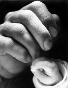 Baby and Adult Hands