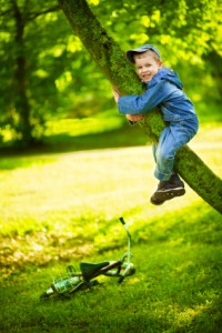 boyintree-iStock_000016349183XSmall